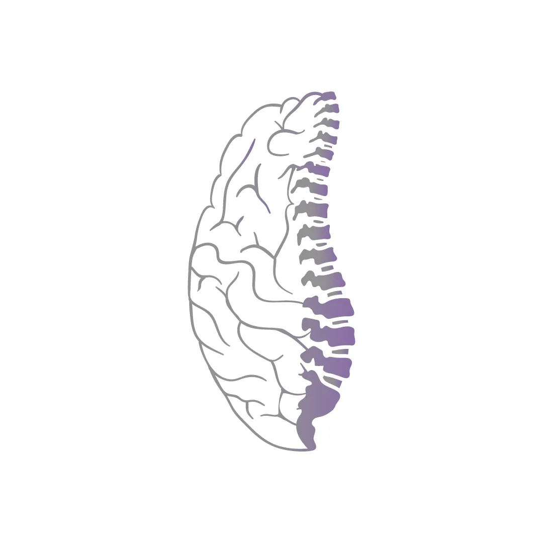 Neurochirurgie Wirbelsäulenchirurgie